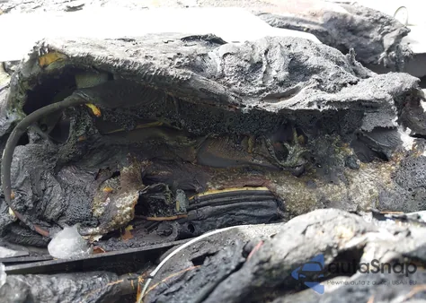 2014 Dodge Durango Limited из США, поврежденный, VIN 1C4RDJDG3EC532602